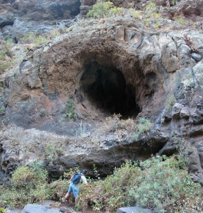 Tuvo formado en la colada de lava de la erupción más antigua del Holoceno en Gran Canaria, El Draguillo, en el este de la isla, en la localidad de Telde.