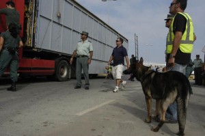 La Guardia Civil adiestra a sus unidades caninas en nuevas modalidades de detección