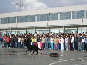 Demostración ante los alumnos de un colegio de una de las unidades caninas de la Guardia Civil