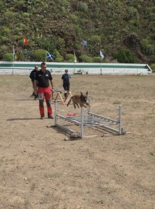 Protección Civil de La Laguna logra la mejor puntuación en una prueba internacional de rescate con perros