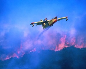Medio Ambiente destina 8 millones a la lucha contra los incendios forestales