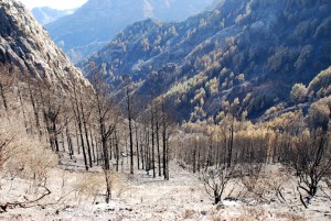 El incendio de La Gomera tiene un frente activo de 3 kms en suelo y subsuelo