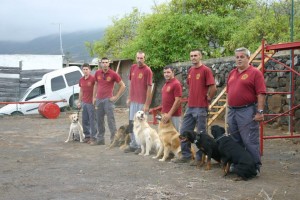 El Ayuntamiento de Breña Baja organiza un curso canino para rescatar a personas en grandes superficies o estructuras colapsadas